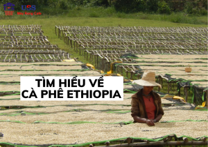 ca-phe-Ethiopia