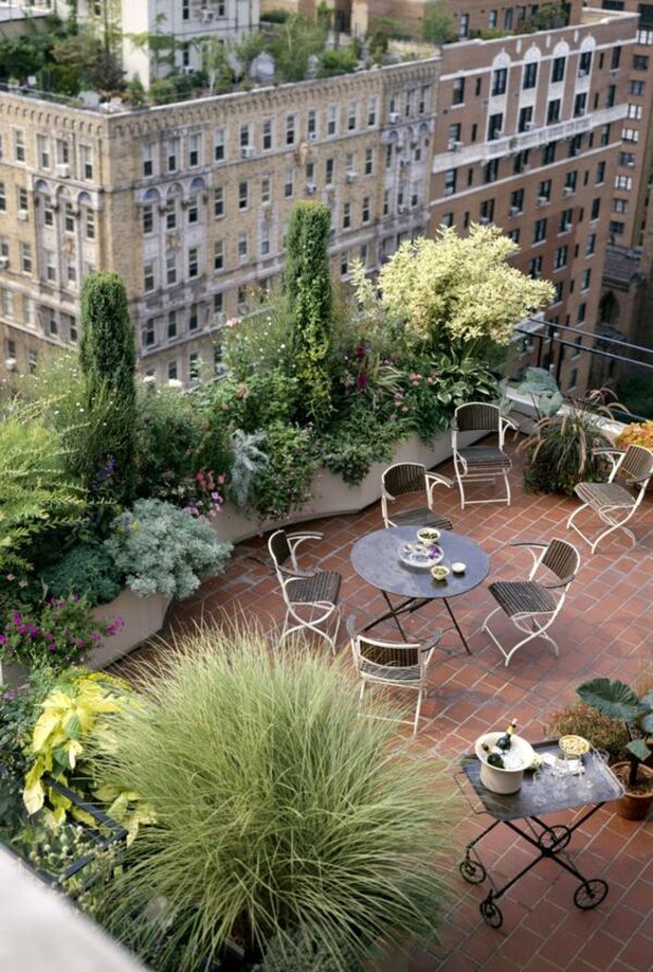 quán cà phê sân thượng với cây xanh